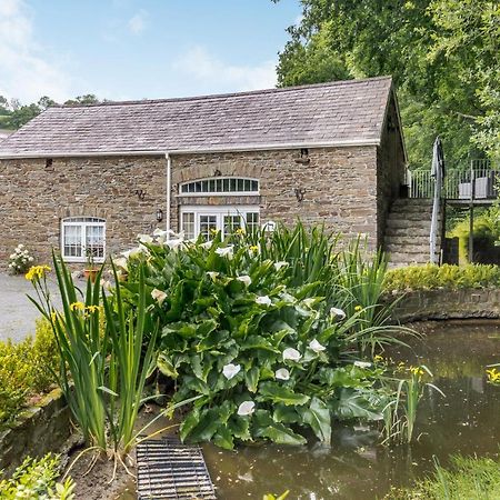 Garden Apartment Llandysul Exterior photo